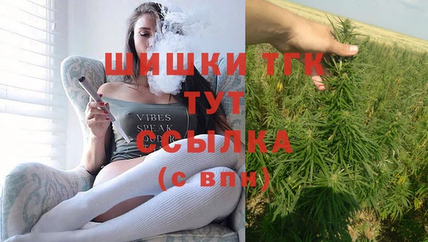 шишки Мегион