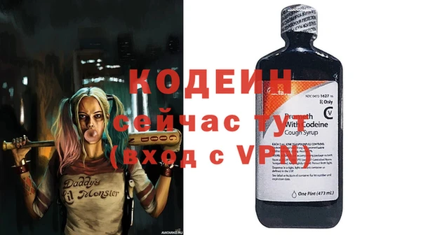 шишки Мегион