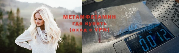 шишки Мегион