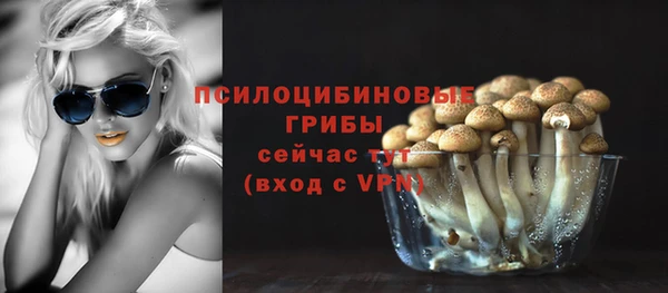 apvp Медногорск