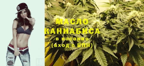 шишки Мегион