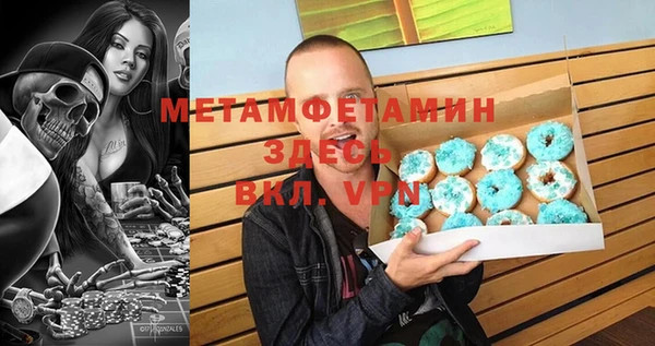 шишки Мегион