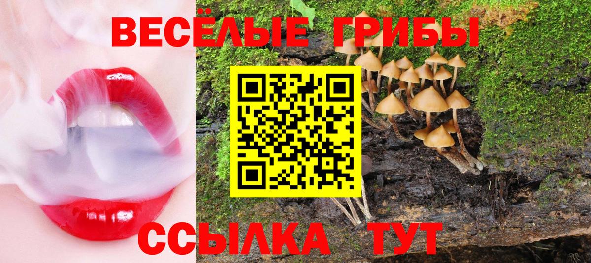 Галлюциногенные грибы Psilocybe  Галлюциногенные грибы MAGIC MUSHROOMS  Брянск  Вход с VPN 