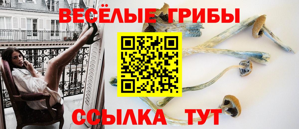 Галлюциногенные грибы Cubensis Брянск
