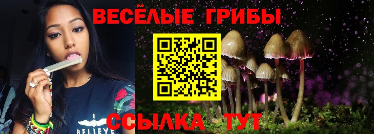 Галлюциногенные грибы Magic Shrooms  Брянск 